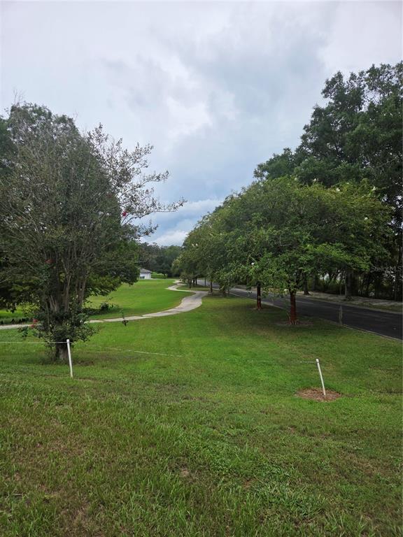 A grassy lot features a winding concrete path, several trees, and an adjacent paved road — 517 DOWLING CIRCLE, LADY LAKE, FL