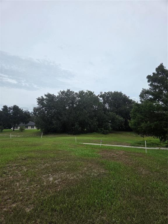 A grassy, vacant lot features survey stakes and a dense cluster of trees in the background — 517 DOWLING CIRCLE, LADY LAKE, FL