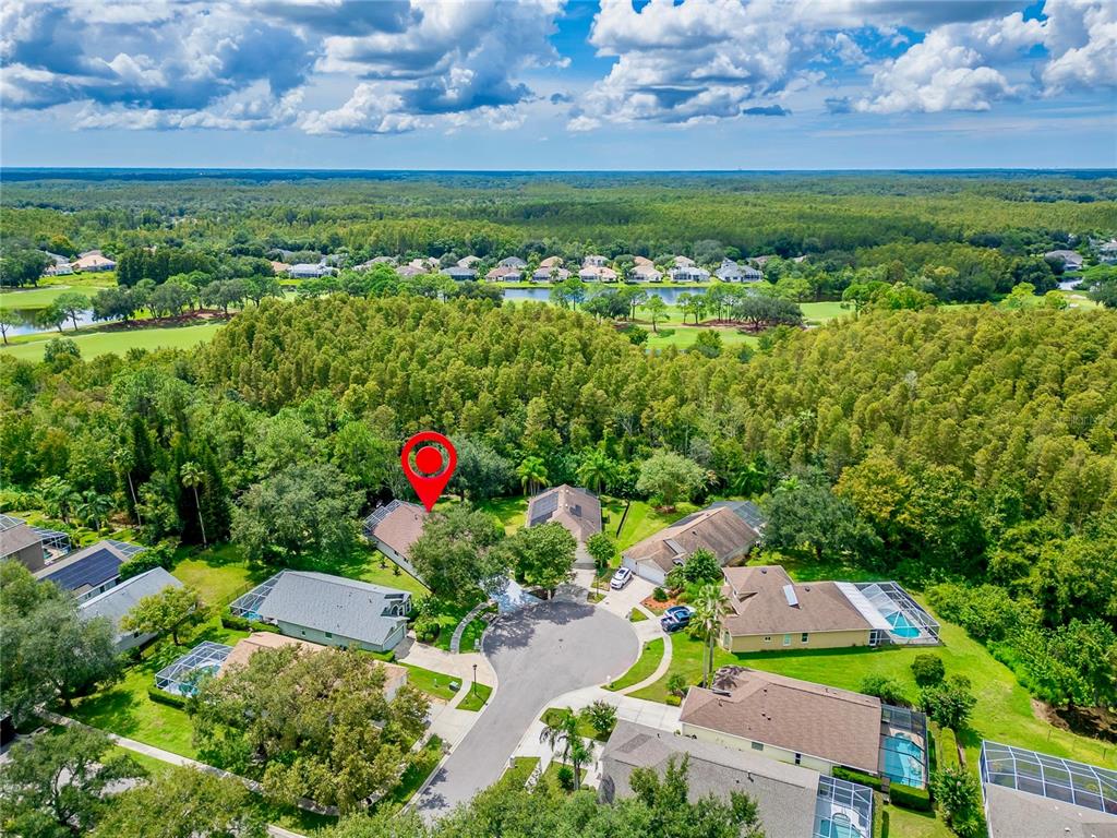 6106 CHALON COURT, LUTZ, FL — photo 4 of 30