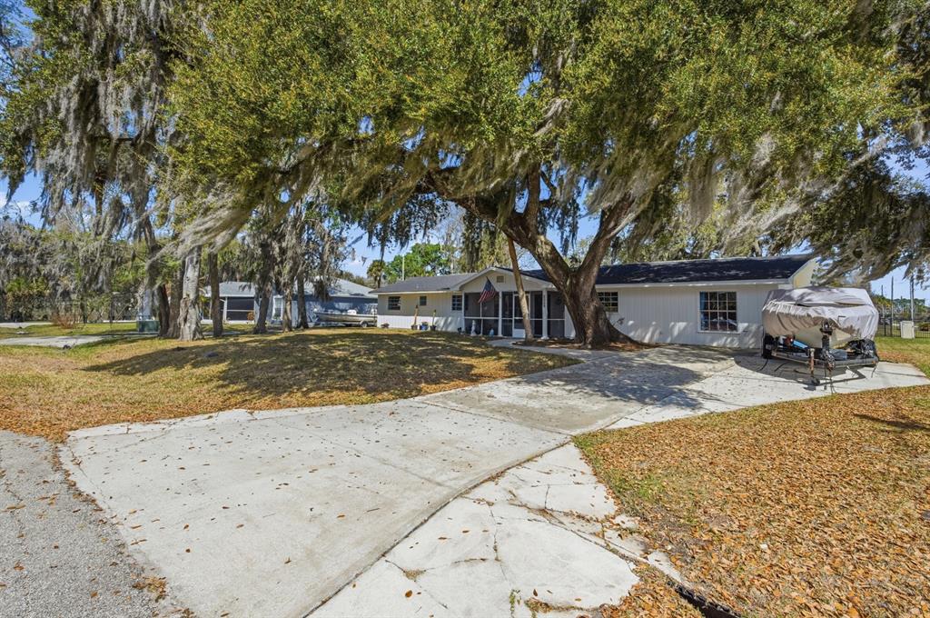 A single-story house with a white exterior sits behind a large tree with Spanish moss — 2329 LIME TREE, EDGEWATER, FL
