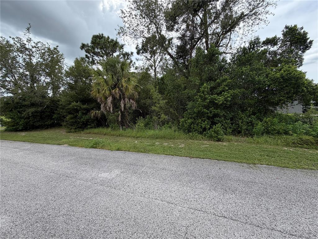 6099 JO ANN COURT, SPRING HILL, FL — photo 4 of 5