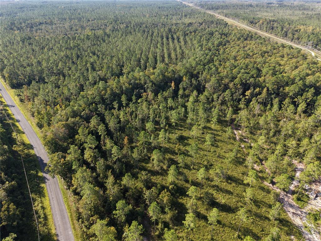 OFF NE 212TH ST., FORT MC COY, FL — photo 2 of 30