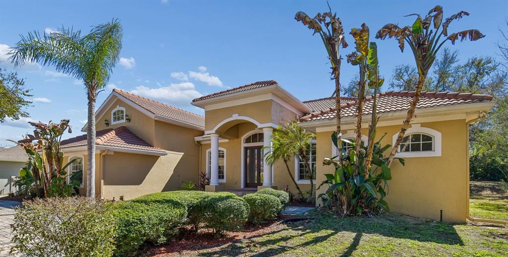 A single-story stucco house with a tiled roof, arched entryway, and palm trees in front — 614 VINTAGE WAY, BRANDON, FL