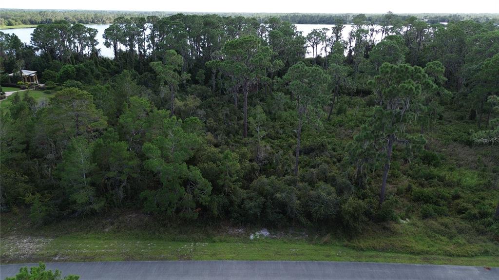 An aerial view shows a wooded, undeveloped lot bordering a lake behind a paved road — 3029 HAWKS LANDING CIRCLE, SEBRING, FL