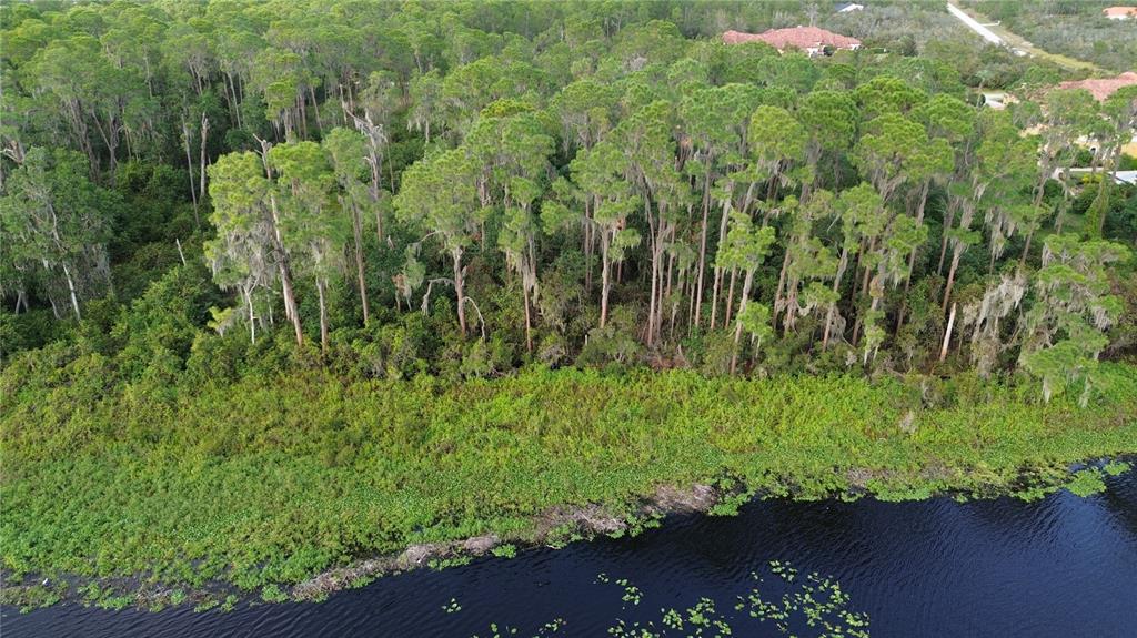 An aerial view shows a dense forest bordering a dark lake with lily pads — 3029 HAWKS LANDING CIRCLE, SEBRING, FL