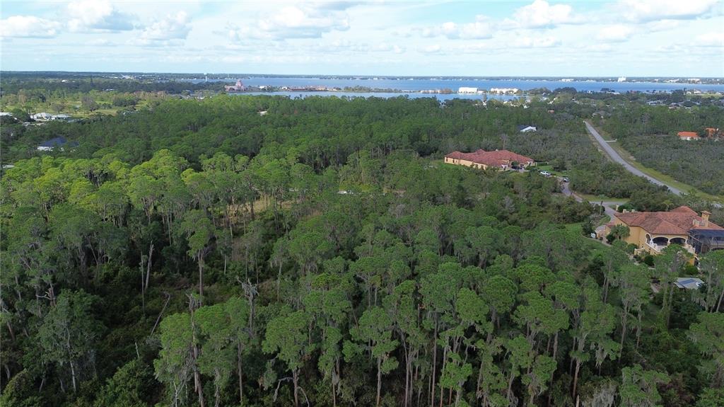An aerial view shows a wooded lot with two large houses near a distant lake — 3029 HAWKS LANDING CIRCLE, SEBRING, FL