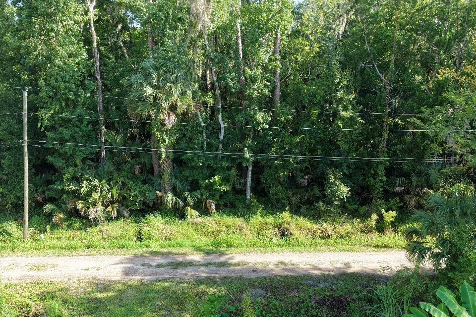 0 GOBBLER ROAD, ASTOR, FL — photo 4 of 30