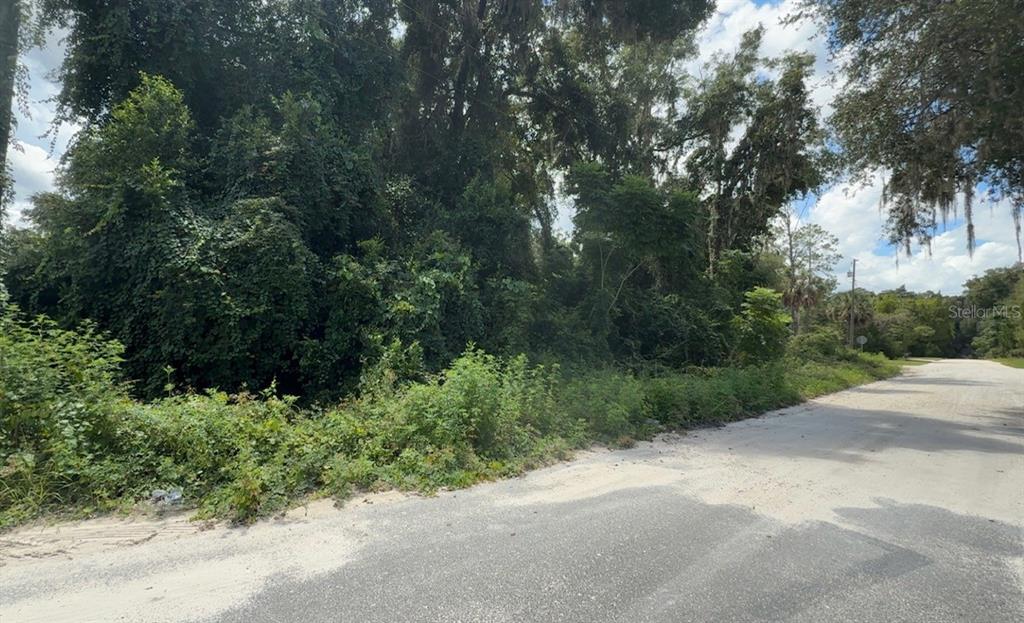 A dirt road runs alongside a densely wooded, undeveloped plot of land — 0000 NE 182ND PLACE, CITRA, FL