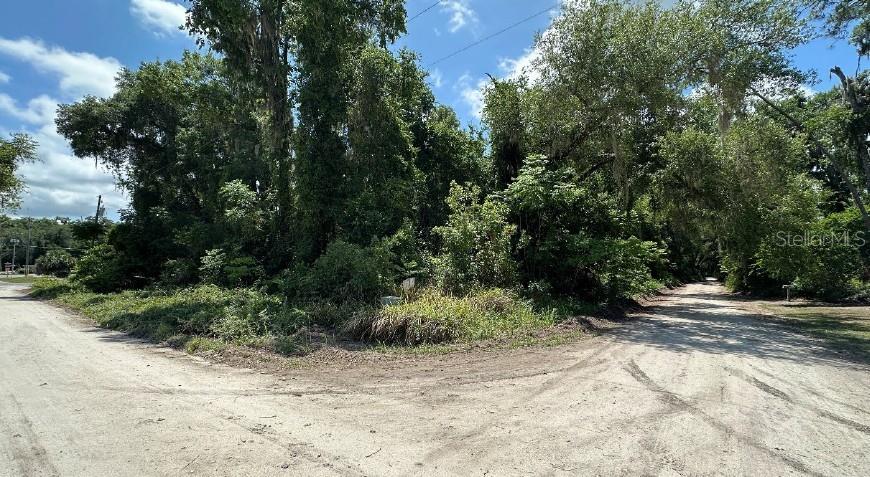 A dirt road intersection borders a densely wooded lot with mature trees and thick vegetation — 0000 NE 182ND PLACE, CITRA, FL
