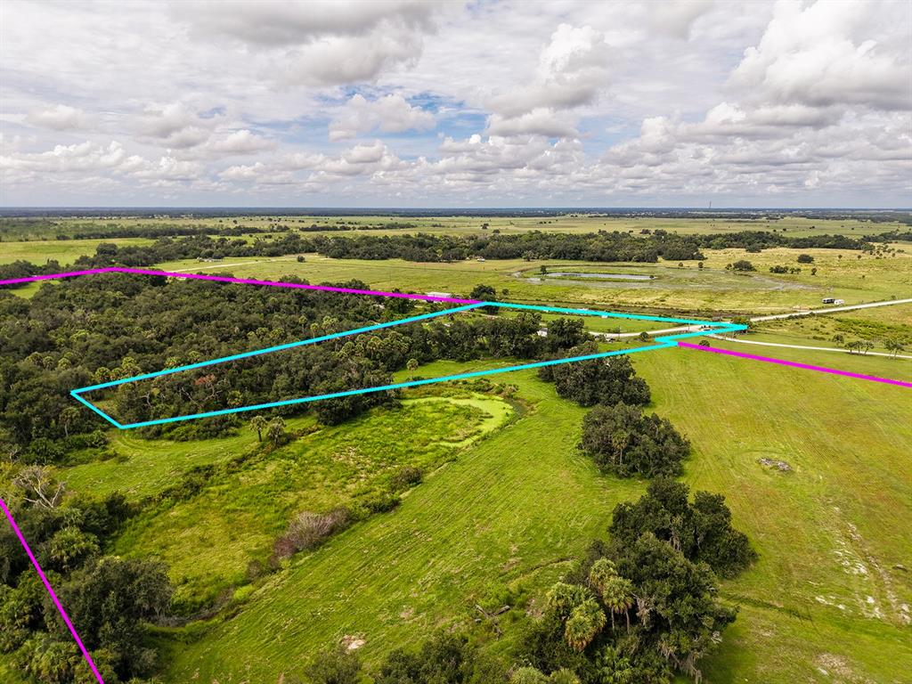 An aerial view shows a rural property with a wooded area outlined in blue — 16501 COKER GULLY ROAD, MYAKKA CITY, FL