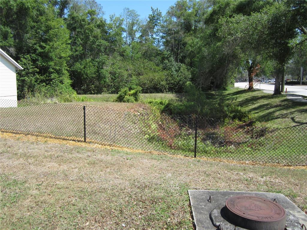 A chain-link fence separates a grassy yard from a wooded area and a roadside — 209 CRYSTAL GROVE BOULEVARD, LUTZ, FL