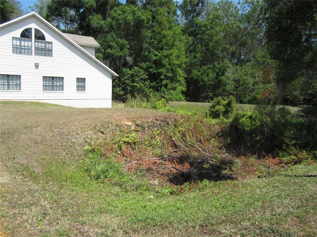 A white two-story house stands next to a sloped, overgrown yard with trees in the background — 209 CRYSTAL GROVE BOULEVARD, LUTZ, FL