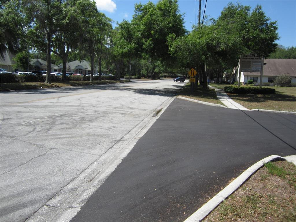 A paved road meets a driveway entrance next to a professional center sign and trees — 209 CRYSTAL GROVE BOULEVARD, LUTZ, FL