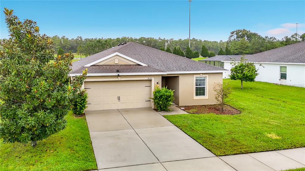 30541 SATINLEAF RUN, BROOKSVILLE, FL — photo 3 of 30