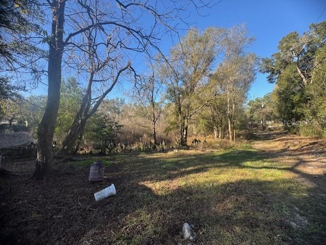 A grassy, wooded lot with scattered trees under a clear blue sky — 12512 CR 685, WEBSTER, FL