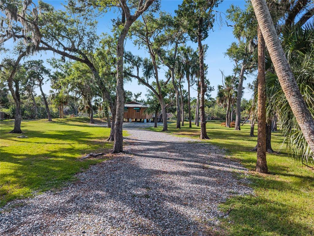 A gravel driveway leads through a wooded yard toward a small wooden house on stilts — 1326 S ESTUARY, CRYSTAL RIVER, FL