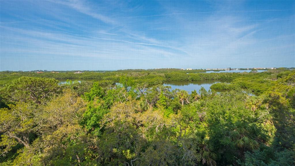 A high-angle view of a lush green forest and a calm body of water — 401 N POINT ROAD UNIT 603, OSPREY, FL