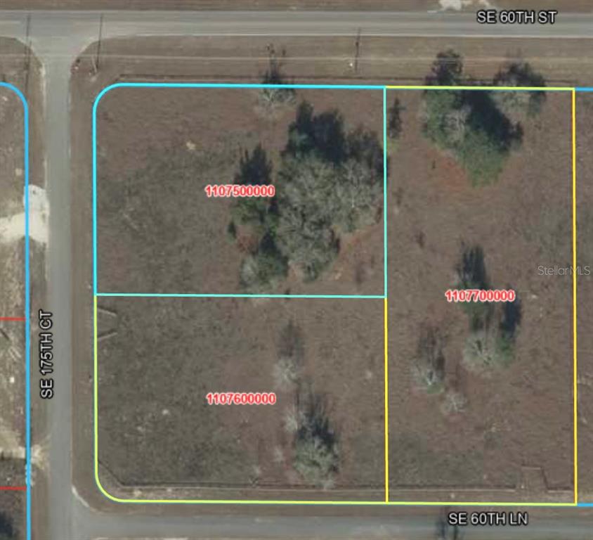 This is a map showing three adjacent vacant land parcels outlined in blue and yellow — 0 SE 175TH COURT, MORRISTON, FL