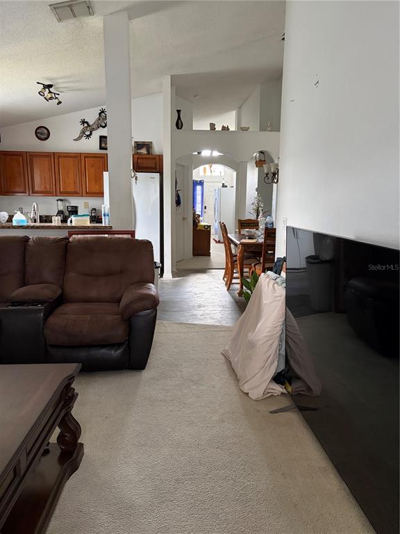 A living room with carpeted floors and a brown sofa faces a large television — 534 EAGLE POINTE S, KISSIMMEE, FL