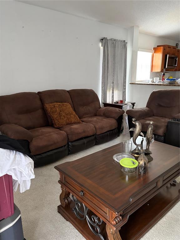 A living room features a brown sofa and armchair, a wooden coffee table, and carpeted floors — 534 EAGLE POINTE S, KISSIMMEE, FL