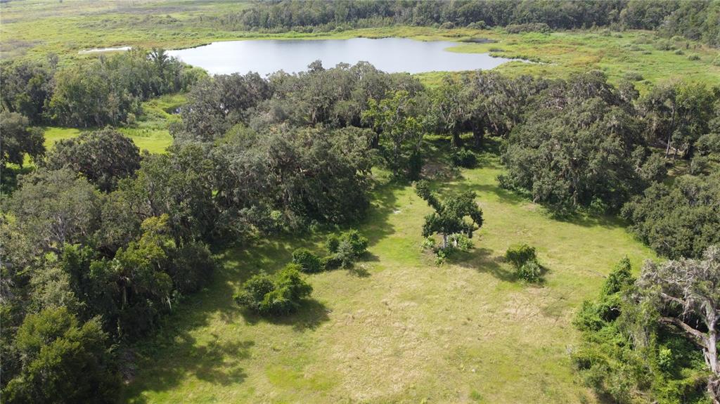 An aerial view shows a grassy field surrounded by trees with a lake in the background — CR 772C, WEBSTER, FL