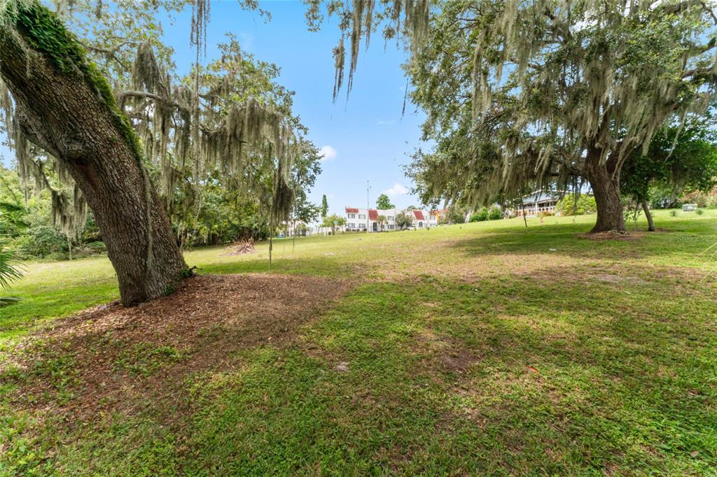 A grassy lot with large oak trees draped in Spanish moss under a blue sky — 0 RIVERHILLS DRIVE, TEMPLE TERRACE, FL