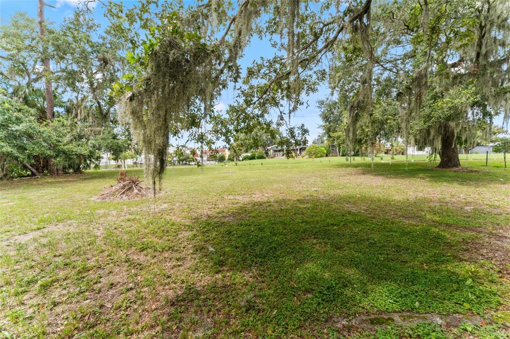 A grassy, tree-filled vacant lot with Spanish moss hanging from the branches — 0 RIVERHILLS DRIVE, TEMPLE TERRACE, FL