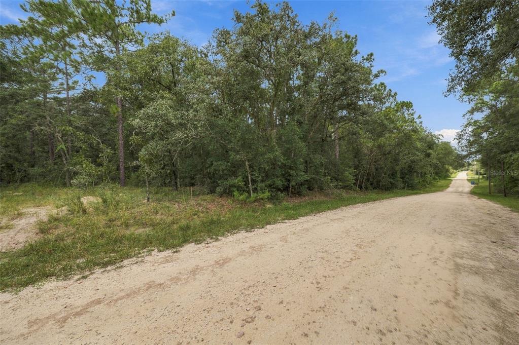 ELAINE DRIVE, WEBSTER, FL — photo 2 of 13