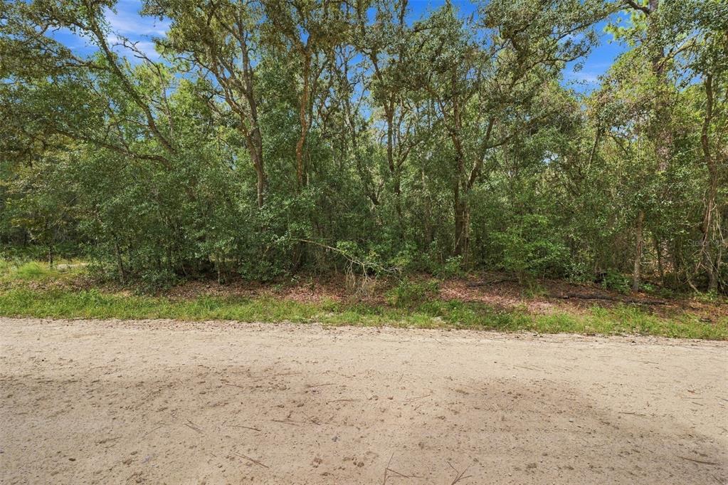 ELAINE DRIVE, WEBSTER, FL — photo 4 of 13
