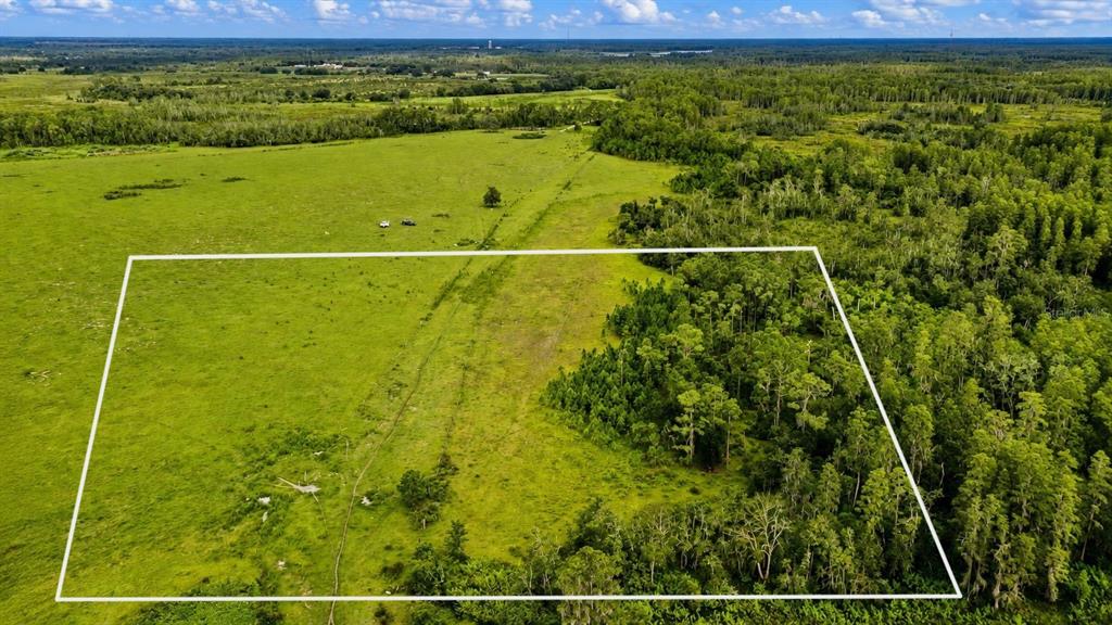 An aerial view shows a large, rectangular plot of land featuring open pasture and dense forest — OLD POLK CITY ROAD, POLK CITY, FL