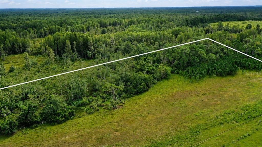 An aerial view shows a grassy field bordered by a dense forest with property lines marked — OLD POLK CITY ROAD, POLK CITY, FL