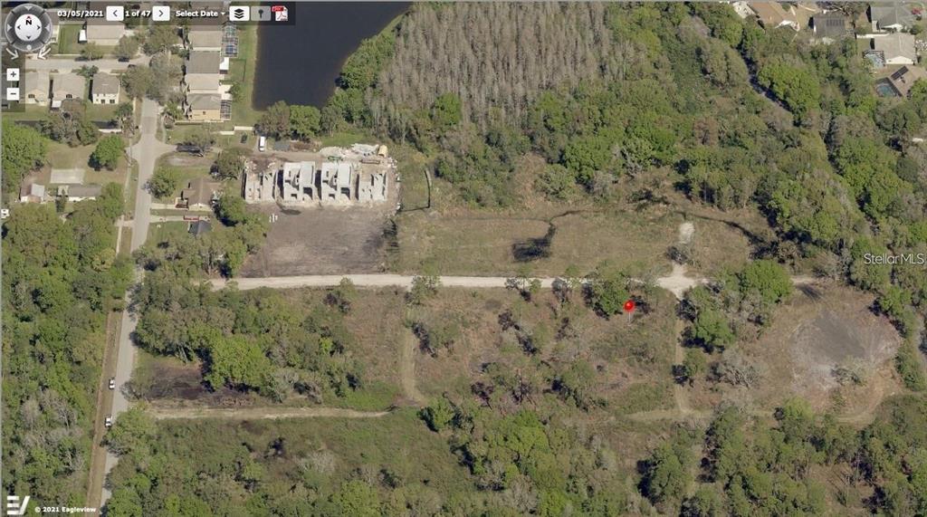 An aerial view shows a vacant lot with a red marker near a wooded area — 110 SKYTRAIL, TAMPA, FL