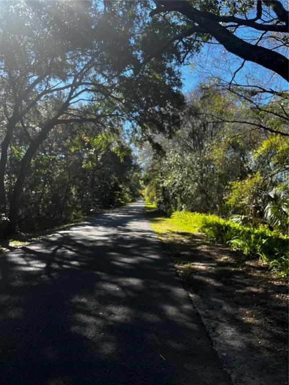 A paved path winds through a wooded area with dappled sunlight filtering through the trees — 110 SKYTRAIL, TAMPA, FL