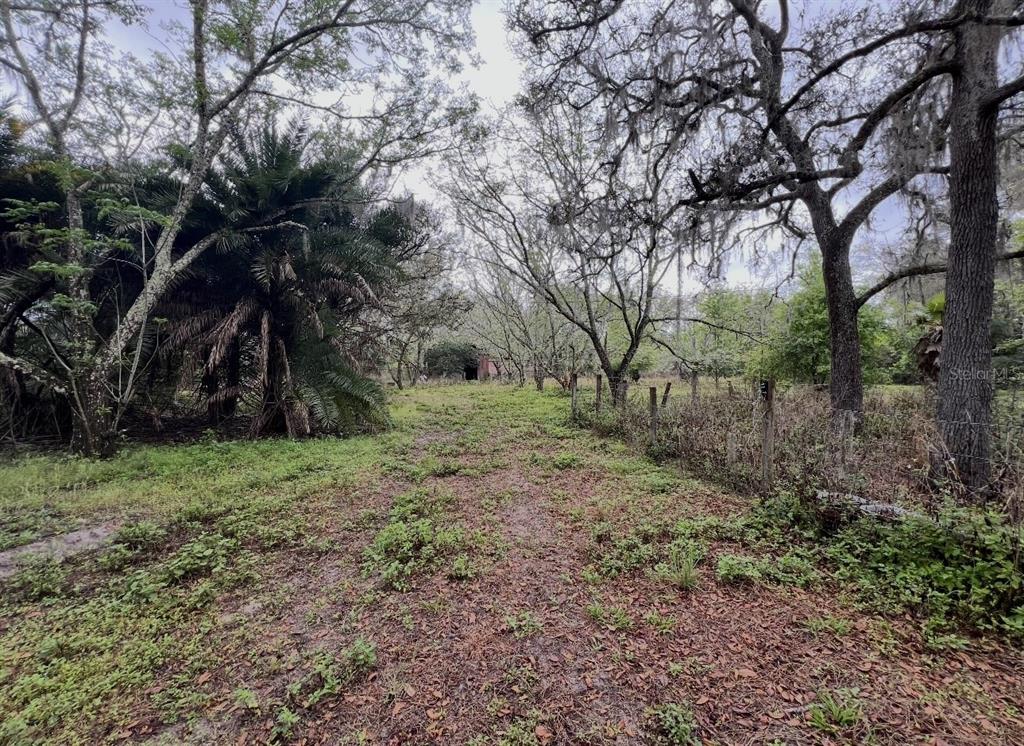 A dirt path leads through a wooded area toward a small, distant structure — 20231 PAINTER PLACE PLACE, SPRING HILL, FL