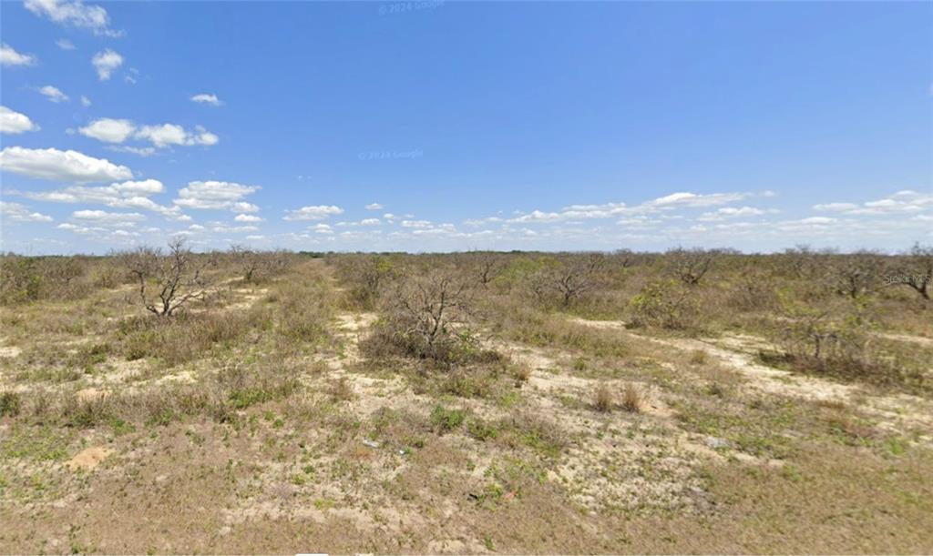 A wide, flat, sandy field with scattered low-lying shrubs under a clear blue sky — 7820 TWITTY ROAD, SEBRING, FL