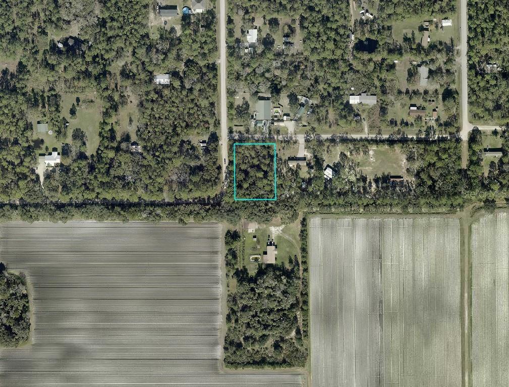 An aerial view shows a rectangular plot of land outlined in blue amidst wooded surroundings — 5131 PECAN AVENUE, BUNNELL, FL