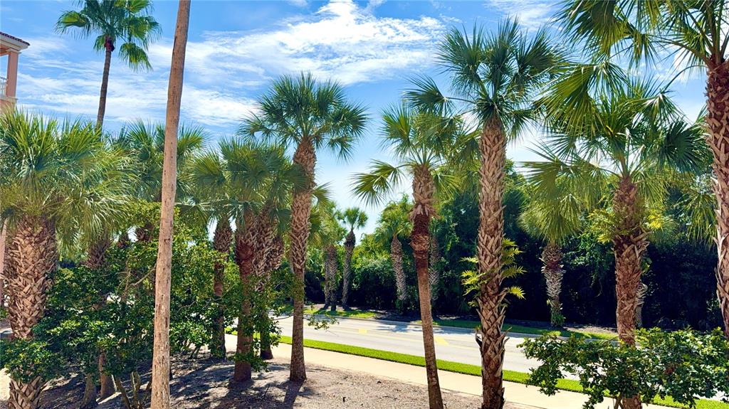A row of palm trees stands along a paved road under a blue sky — 35 OCEAN CREST WAY UNIT 1113, PALM COAST, FL