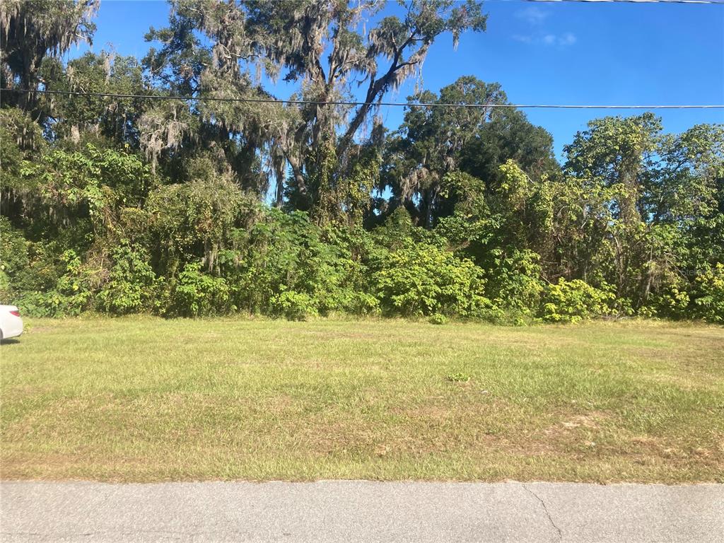 A grassy, vacant lot is bordered by a dense line of trees and foliage — SW 5TH ST, OCALA, FL