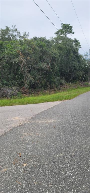 Lot 15 OLIVE WAY