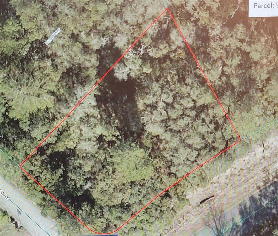 An aerial map view shows a wooded, rectangular plot of land outlined in red — Lot 15 OLIVE WAY, OCALA, FL