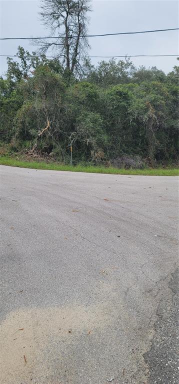 A paved road curves in front of a densely wooded, undeveloped lot — Lot 15 OLIVE WAY, OCALA, FL