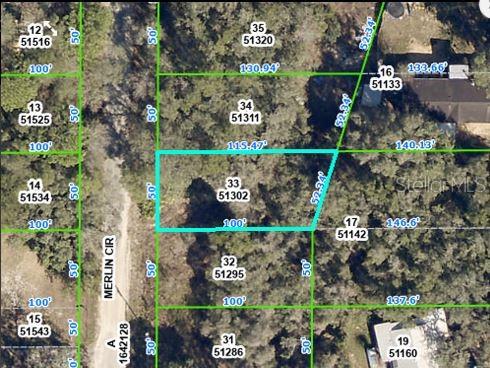 This is a satellite map showing a highlighted rectangular land parcel among surrounding wooded lots — 4842 MERLIN CIR CIRCLE, DADE CITY, FL