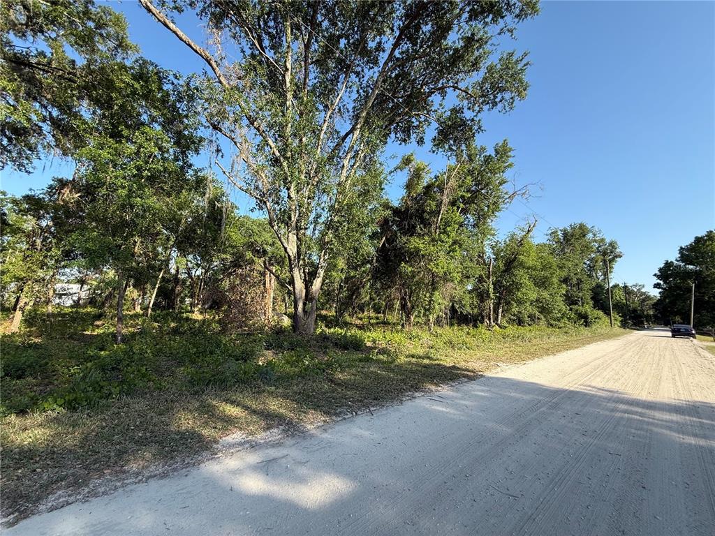 A dirt road runs alongside a wooded, undeveloped plot of land under a clear sky — null OWENS DRIVE, ZEPHYRHILLS, FL