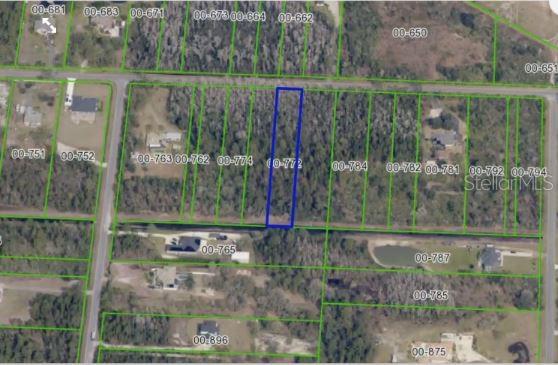 This aerial map shows a rectangular parcel of land highlighted in blue among wooded lots — PADDOCK STREET, ORLANDO, FL