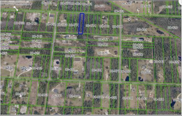 An aerial map shows a rectangular property outlined in blue among several other land parcels — PADDOCK STREET, ORLANDO, FL