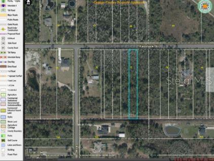 This is a map showing a rectangular parcel of land outlined in blue along a road — PADDOCK STREET, ORLANDO, FL