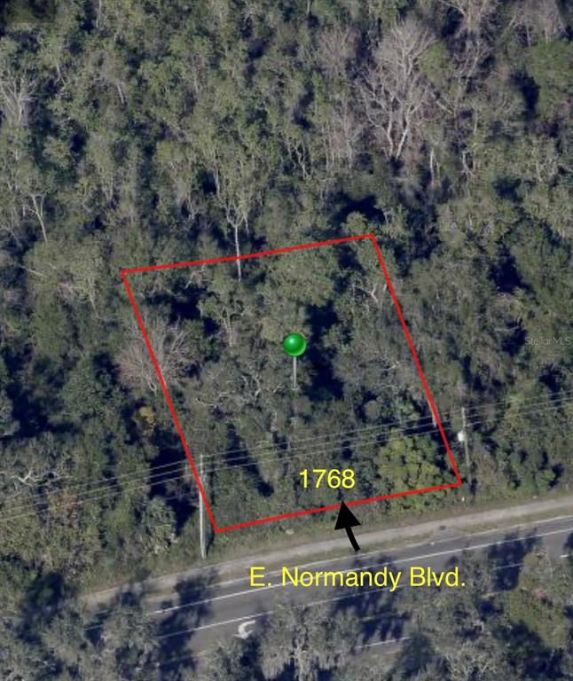 An aerial view shows a wooded, rectangular plot of land bordering a paved road — 1768 E NORMANDY BOULEVARD, DELTONA, FL