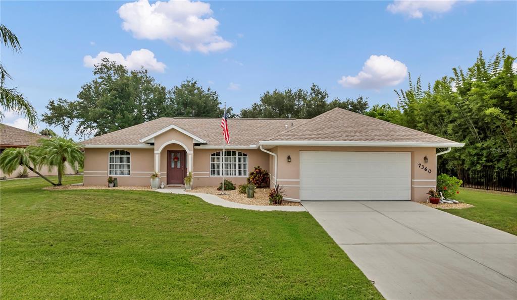 7360 N FICUS TREE