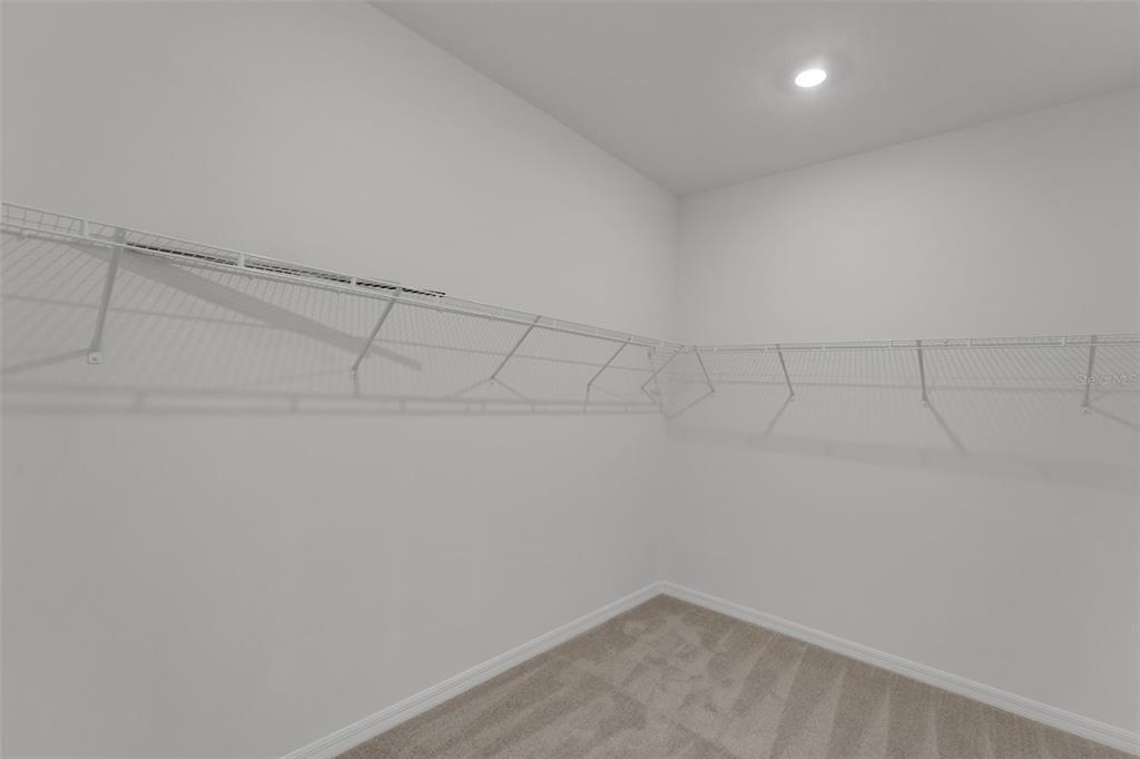 A walk-in closet with white wire shelving, beige carpet, and a single ceiling light — 16935 SQUIRREL BRANCH LANE, ALVA, FL