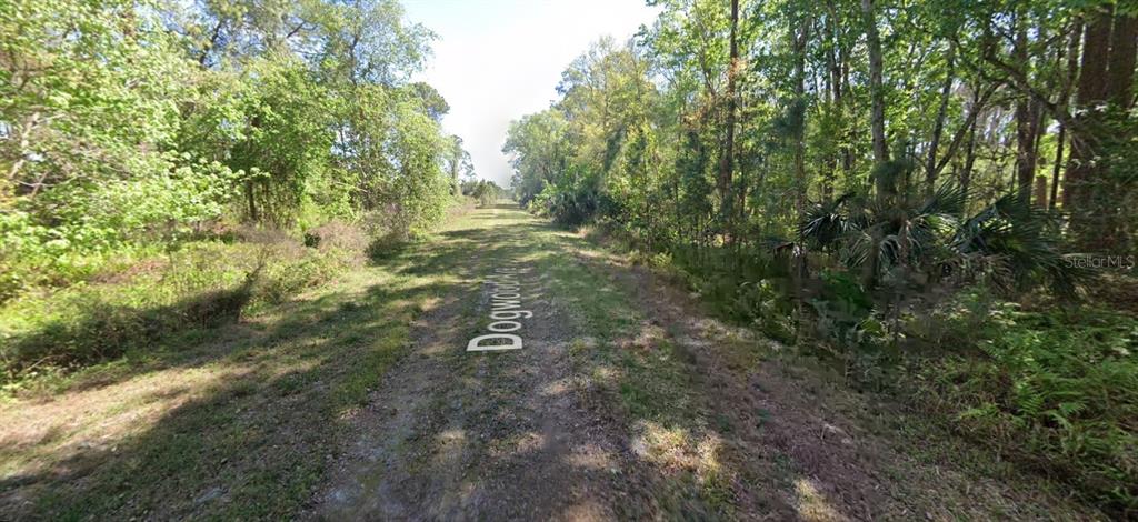 423 DOGWOOD AVENUE, GEORGETOWN, FL — photo 2 of 9